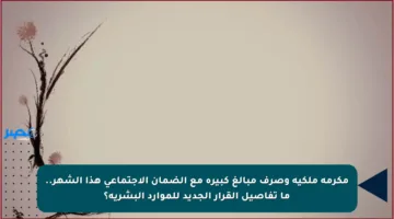 مكرمة ملكية وصرف مبالغ كبيرة مع الضمان الاجتماعي هذا الشهر.. ما تفاصيل القرار الجديد للموارد البشرية؟